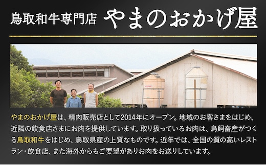 鳥取和牛 食べ応えの赤身ブロック 300g やまのおかげ屋《90日以内に出荷予定(土日祝除く)》鳥取県 八頭町 和牛 ブロック肉 ステーキ 送料無料 牛肉 肉 牛