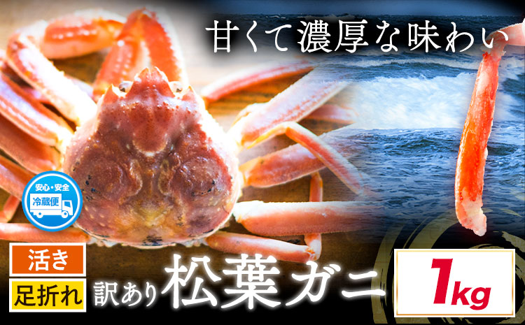 活き 訳あり 松葉ガニ カニ 1kg 1杯 さんチョク《11月中旬から4月上旬頃出荷》鳥取県 八頭町 送料無料 蟹 かに 鍋 ズワイガニ ズワイ蟹 生 冷蔵