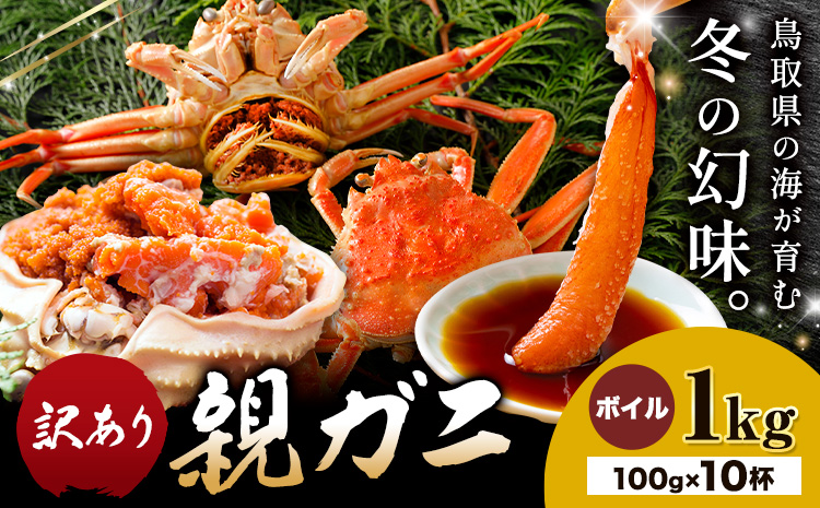 【ふるさと納税】カニ 親ガニ 訳あり 1000g 1kg ボイル 10杯 《12月上旬-12月末頃出荷》 SOO合同会社 鳥取県 八頭町 送料無料  蟹 かに 姿 鍋  訳アリ