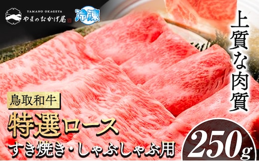 鳥取和牛 特選ロース すき焼き・しゃぶしゃぶ用(250g) 株式会社 やまのおかげ屋《90日以内に出荷予定(土日祝除く)》鳥取県 八頭町 和牛 牛肉 牛 すき焼き しゃぶしゃぶ 送料無料