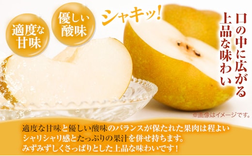 【先行予約】王秋梨 赤秀 約5kg (5~8玉) JA鳥取いなば《10月下旬-11月中旬頃出荷》鳥取県 八頭町 梨 なし ナシ 果物 フルーツ  ふるさと納税 送料無料 王秋梨 果実 果汁 常温便st-p