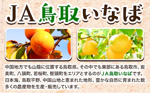 【先行予約】王秋梨 赤秀 約5kg (5~8玉) JA鳥取いなば《10月下旬-11月中旬頃出荷》鳥取県 八頭町 梨 なし ナシ 果物 フルーツ  ふるさと納税 送料無料 王秋梨 果実 果汁 常温便st-p