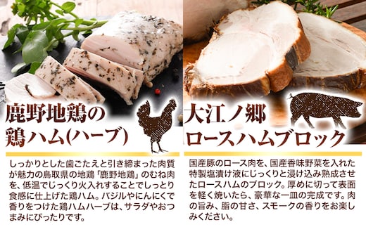 肉 ハム ローストビーフ 大江ノ郷グルメセット《90日以内に出荷予定(土日祝除く)》大江ノ郷自然牧場 牛 鶏 豚 セット