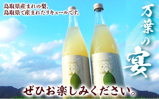 鳥取県産梨リキュール「万葉の宴」2本セット 株式会社北岡本店《90日以内に出荷予定(土日祝除く)》鳥取県 八頭町 リキュール 送料無料