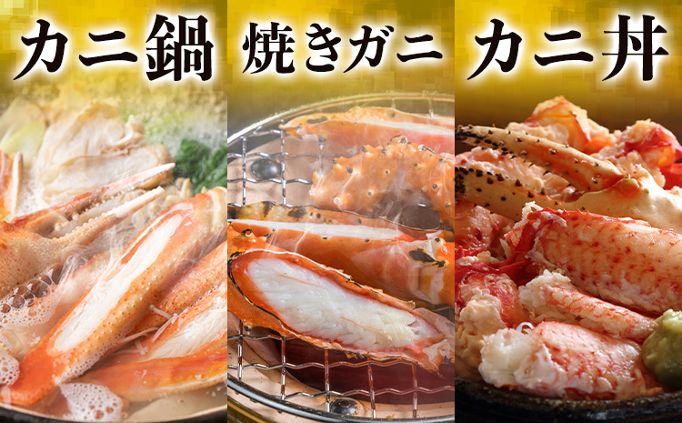 【ふるさと納税】カニ 紅ズワイガニ 2kg(4杯 〜5 杯) 《9月上旬-5月末頃出荷》 SOO合同会社 鳥取県 八頭町 送料無料  蟹 かに 姿 鍋 ズワイガニ  ズワイ蟹 ボイル ベニズワイ ベニズワイガニ