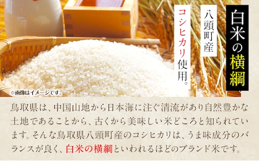 日本酒 鳥取県産純米吟醸酒「隼えき」２本セット 株式会社北岡本店《90日以内に出荷予定(土日祝除く)》鳥取県 八頭町 純米吟醸酒 酒 送料無料