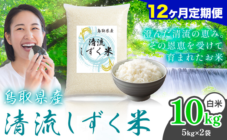 【12ヶ月定期便】鳥取 ふるさと 白米 10kg  清流しずく米《お申し込み月の翌月から出荷開始》鳥取県 八頭町 米 お米 ご飯 八頭 ふるさと無洗米 生活応援 ブレンド米 複数原料米 訳あり 小分け kome ご飯
