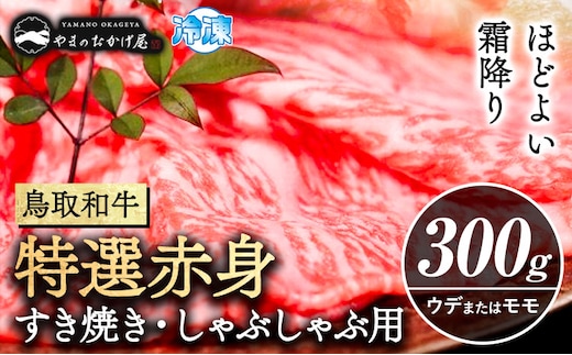 鳥取和牛 特選赤身 すき焼き・しゃぶしゃぶ用 300g 株式会社 やまのおかげ屋《90日以内に出荷予定(土日祝除く)》鳥取県 八頭町 和牛 牛肉 牛 すき焼き しゃぶしゃぶ 送料無料