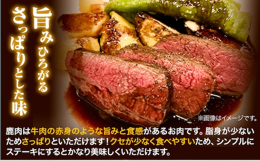 鹿肉 贅沢セット 1.2kg モモスライス 250g × 2パック モモブロック 250g × 2パック スモーク 100g×2パック 猪鹿庵《90日以内に出荷予定（土日祝除く）》鳥取県 八頭町 ジビエ 鹿 シカ もも肉