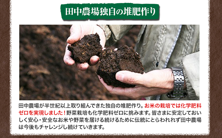 ç¹å¥æ œå¹ç±³ ã³ã·ãã«ãª 10kgïŒ5kgÃ2è¢ïŒæéäŒç€Ÿ ç°äžèŸ²å Žã90æ¥ä»¥å
ã«åºè·äºå®(忥ç¥é€ã)ãé³¥åç å
«é çº ç±³ ãç±³ ã飯 éæç¡æ