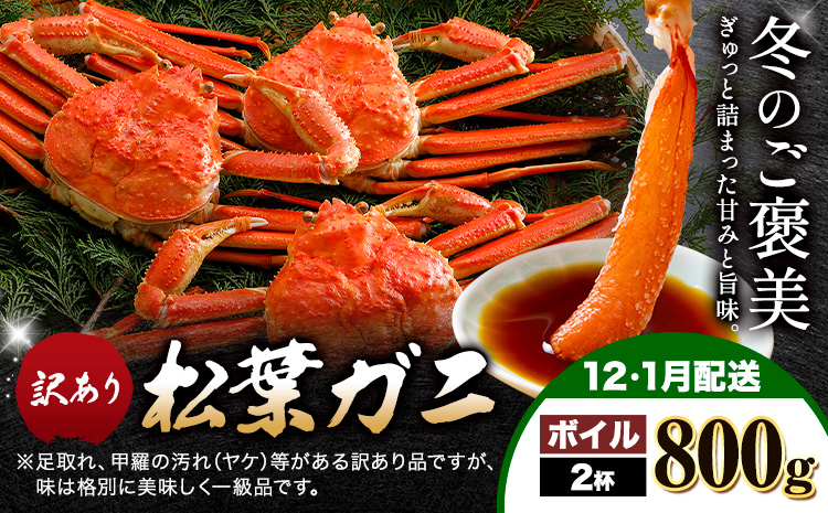 【ふるさと納税】カニ 松葉ガニ 訳あり 400g ボイル 2杯《12月・1月発送》 SOO合同会社 鳥取県 八頭町 送料無料  蟹 かに 姿 鍋 ズワイガニ  ズワイ蟹 ボイル 松葉ガニ 訳アリ