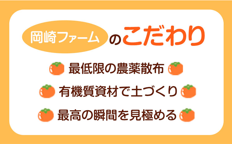 【先行予約】樹齢100年の古木から採れる花御所柿 2.5kg 岡崎ファーム《12月上旬-12月末頃出荷》鳥取県 八頭町 柿 かき カキ 花御所柿 果物 フルーツ