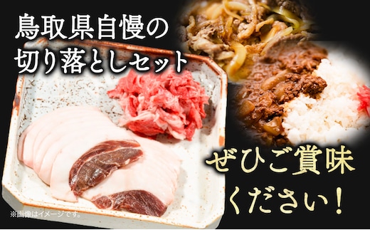 八頭郡産猪肉・鳥取和牛 切り落としセット 600g 各300g やまのおかげ屋《90日以内に出荷予定(土日祝除く)》鳥取県 八頭町 猪肉 ジビエ  八頭郡産 イノシシ 猪