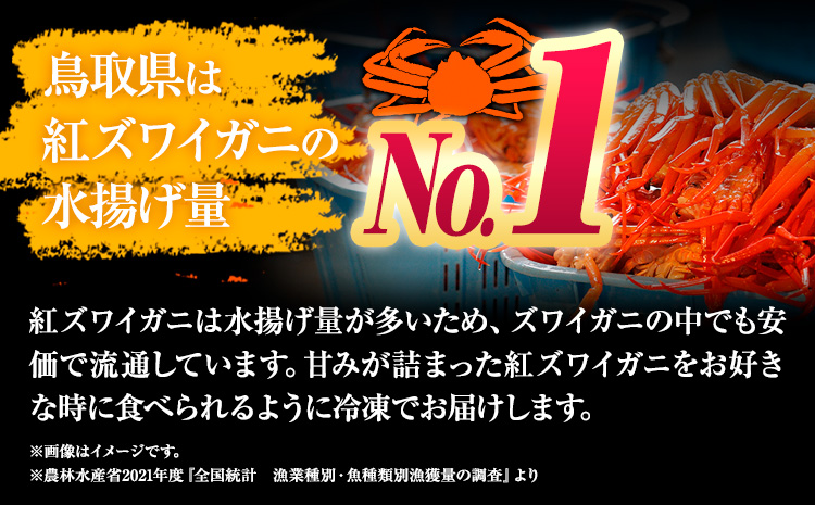 蟹 蟹セレブ 紅ズワイガニ サイズ 大3杯セット（500〜600g×3） giverichホールディングス《10月上旬-6月下旬頃出荷》鳥取県 八頭町 蟹 かに カニ 紅ズワイガニ 紅ズワイ 送料無料