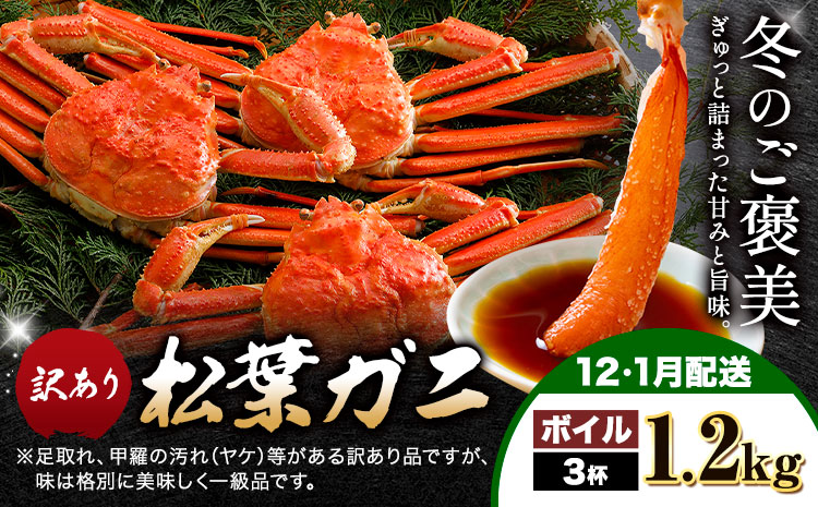 【ふるさと納税】カニ 松葉ガニ 訳あり 400g ボイル 3杯《12月・1月発送》 SOO合同会社 鳥取県 八頭町 送料無料  蟹 かに 姿 鍋 ズワイガニ  ズワイ蟹 ボイル 松葉ガニ 訳アリ