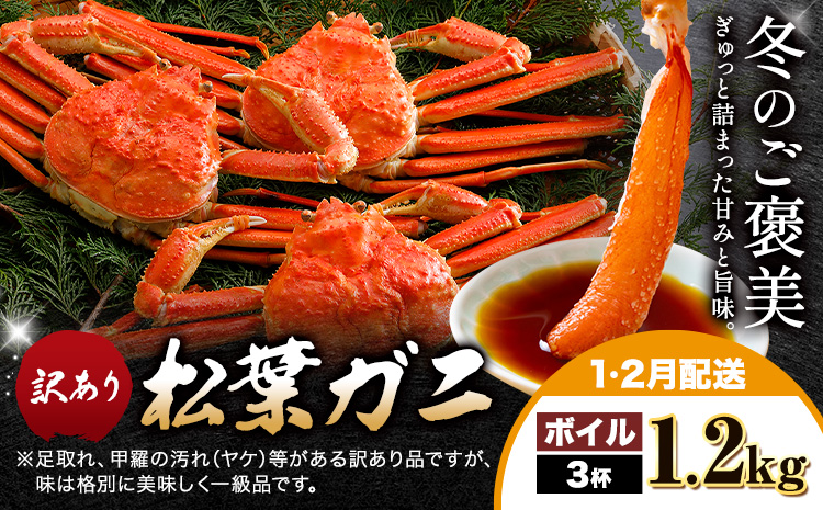 【ふるさと納税】カニ 松葉ガニ 訳あり 400g ボイル 3杯《1月・2月発送》 SOO合同会社 鳥取県 八頭町 送料無料  蟹 かに 姿 鍋 ズワイガニ  ズワイ蟹 ボイル 松葉ガニ 訳アリ