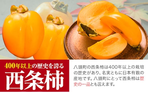 西条柿 2.5kg 個包装 (12玉〜14玉) JA鳥取いなば《10月下旬-11月下旬頃出荷》渋抜き 2L〜3L 柿 かき カキ フルーツ 果物 くだもの 青果物 特秀 鳥取県 八頭町st-p