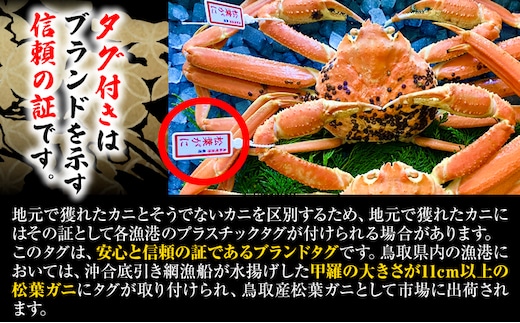 【先行予約】【活き】タグ付き松葉ガニ 大2枚入り(1枚あたり800〜940g) 高間商店《11月中-3月下旬頃出荷》鳥取県 八頭町 送料無料 カニ 蟹 松葉ガニ タグ付き ブランド