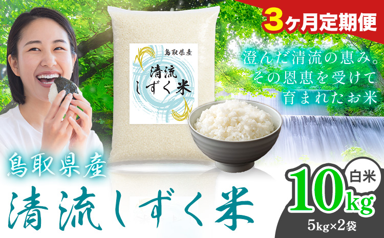 【3ヶ月定期便】鳥取 ふるさと 白米 10kg 清流しずく米《お申し込み月の翌月から出荷開始》鳥取県 八頭町 米 お米 ご飯 八頭 ふるさと無洗米 生活応援 ブレンド米 複数原料米 訳あり 小分け kome ご飯