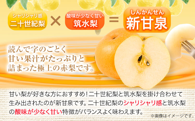 【先行予約 】訳あり なし 梨 新甘泉 約3kg (4~10玉) 高間商店《2025年8月下旬-10月上旬頃出荷》 鳥取県 八頭町 梨 なし ナシ 果物 フルーツ ご家庭用 訳あり 先行予約 送料無料 甘い 果実 果汁 デザート 新甘泉梨 赤梨