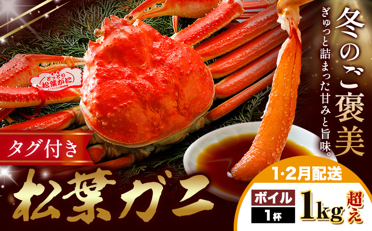 【ふるさと納税】カニ 松葉ガニ 1kg超え ボイル 1杯 《1月・2月発送》 SOO合同会社 鳥取県 八頭町 送料無料  蟹 かに 姿 鍋 ズワイガニ  ズワイ蟹 ボイル 松葉ガニ