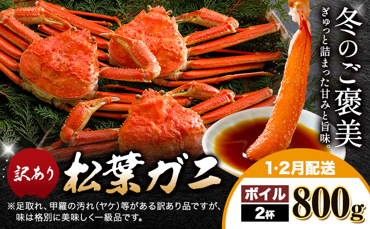 【ふるさと納税】カニ 松葉ガニ 訳あり 400g ボイル 2杯《1月・2月発送》 SOO合同会社 鳥取県 八頭町 送料無料  蟹 かに 姿 鍋 ズワイガニ  ズワイ蟹 ボイル 松葉ガニ 訳アリ