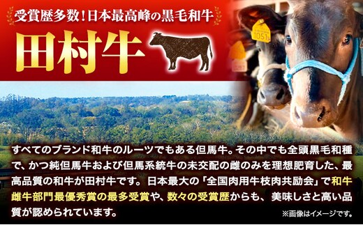 田村牛 極上モモステーキ＆特選ロースステーキ 極上モモ肉 150g×2枚 特選ロース肉 200g×2枚 計700g 八頭町観光協会 肉のたむら 鳥取県 八頭町《90日以内に出荷予定(土日祝除く)》牛肉 モモ ロース ステーキ 送料無料