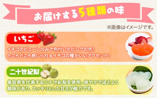 フルーツ くずもち 5種セット 各8個入り(計40個入り) 物産観光やず《90日以内に出荷予定(土日祝除く)》 鳥取県 八頭町 送料無料 葛餅 和菓子 お菓子 おやつ スイーツ 果物 5種類の味 いちご 二十世紀梨 花御所柿 キウイ ブルーベリー
