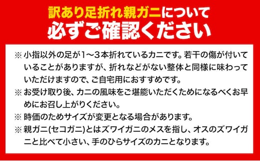 【先行予約】【蒸し】訳あり 足折れ 日本海産 親ガニ セコガニ 6枚(甲羅のサイズ7.5~8.5cm) 高間商店《11月中旬-1月中旬頃出荷》鳥取県 八頭町 送料無料 カニ 蟹 かに 訳あり 足折れ 鍋 珍味 ズワイガニ