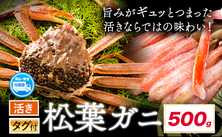 活き タグ付き 松葉ガニ カニ 500g 1杯 さんチョク《11月中旬から4月上旬頃出荷》鳥取県 八頭町 送料無料 蟹 かに 鍋 ズワイガニ ズワイ蟹 生 冷蔵