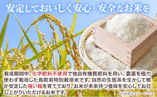 【12ヶ月定期便】“土づくりの恵み” つやっつやの特別栽培米お届け 12ヶ月コース 特別栽培米 コシヒカリ ２kg×３袋 有限会社 田中農場《ご入金を確認してから約2ヶ月後に出荷開始》鳥取県 八頭町 米 お米 ご飯 定期 定期便 送料無料