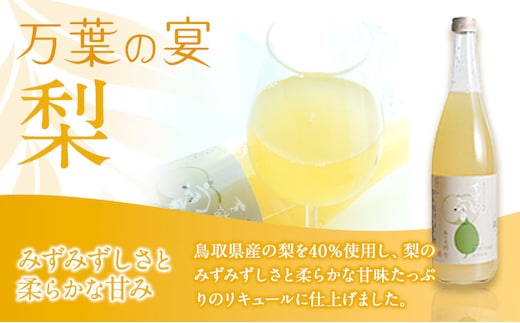 鳥取県産梨リキュール「万葉の宴」2本セット 株式会社北岡本店《90日以内に出荷予定(土日祝除く)》鳥取県 八頭町 リキュール 送料無料