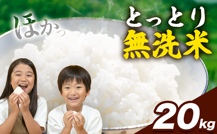 とっとり無洗米 20kg《2025年11月中旬-12月末頃出荷》鳥取県 八頭町 米 お米 白米 ご飯 八頭 ふるさと無洗米