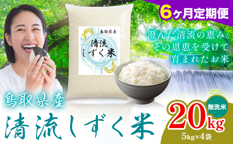 【6ヶ月定期便】鳥取 ふるさと 無洗米 20kg  清流しずく米《お申し込み月の翌月から出荷開始》鳥取県 八頭町 米 お米 ご飯 八頭 ふるさと無洗米 生活応援 ブレンド米 複数原料米 訳あり 小分け kome ご飯