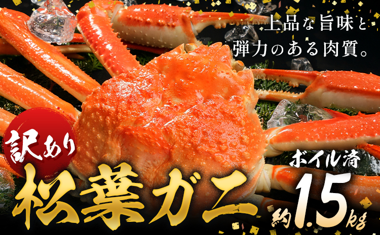 かに 訳あり 松葉ガニ 1.5kg ボイル済み 冷蔵 《2024年11月上旬-2025年4月中旬頃出荷》お魚センターみくりや 鳥取県 八頭町 蟹 かに カニ 鍋 松葉ガニ ボイル 送料無料 訳あり 訳アリ