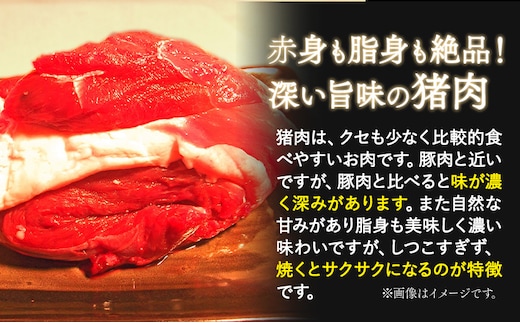 八頭郡産猪肉 焼肉用味付き肉 760g 380g × 2パック やまのおかげ屋《90日以内に出荷予定(土日祝除く)》鳥取県 八頭町 猪肉 ジビエ 焼肉 八頭郡産 イノシシ 猪