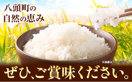 鳥取県産 きぬむすめ15kg 精白米 15kg×1袋 フォレスト姫宮《90日以内に発送予定(土日祝除く)》鳥取県 八頭町 米 お米 白米 ご飯