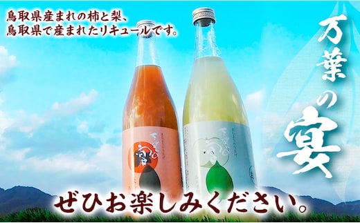 リキュール 鳥取県産梨・柿リキュール「万葉の宴」2本セット 株式会社北岡本店《90日以内に出荷予定(土日祝除く)》鳥取県 八頭町 リキュール 送料無料