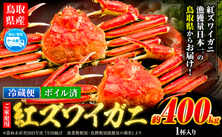 訳あり カニ 紅ズワイガニ 400g(1枚) 《2024年9月中旬-2025年6月中旬頃に出荷予定》鳥取県 八頭町 送料無料 蟹 かに 姿 鍋 ズワイガニ ベニズワイガニ ズワイ蟹 ボイル 冷蔵便【配送不可地域あり】