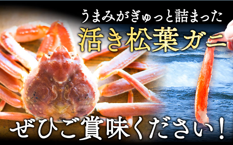 活き 訳あり 松葉ガニ カニ 1kg 1杯 さんチョク《11月中旬から4月上旬頃出荷》鳥取県 八頭町 送料無料 蟹 かに 鍋 ズワイガニ ズワイ蟹 生 冷蔵