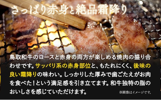 鳥取和牛 赤身＆霜降り焼肉用切り落とし 計300g 株式会社 やまのおかげ屋《90日以内に出荷予定(土日祝除く)》鳥取県 八頭町 和牛 牛肉 牛 やきにく 送料無料