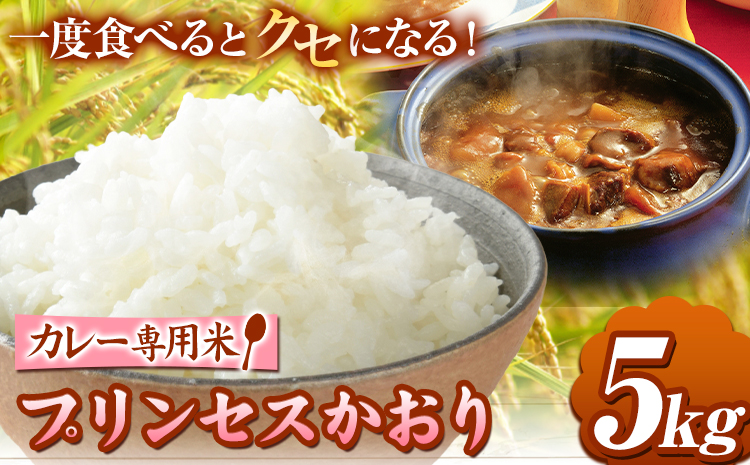 カレー専用米 プリンセスかおり 5kg 有限会社 田中農場《90日以内に出荷予定(土日祝除く)》鳥取県 八頭町 米 お米 ご飯 カレー 送料無料
