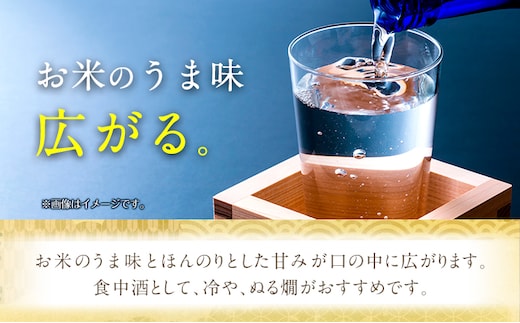 日本酒 鳥取県産純米吟醸酒「隼えき」２本セット 株式会社北岡本店《90日以内に出荷予定(土日祝除く)》鳥取県 八頭町 純米吟醸酒 酒 送料無料