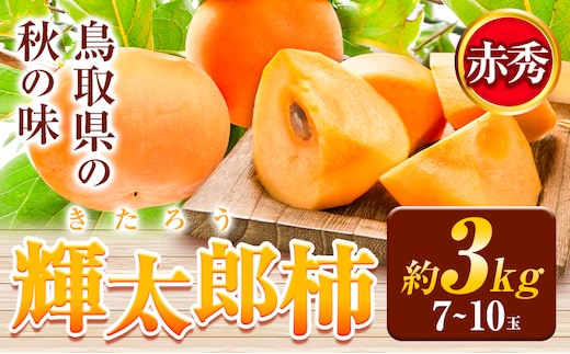 輝太郎柿 3kg 7〜10玉 秀品 先行予約[10月上旬-10月下旬頃出荷]JA鳥取いなば 鳥取県 八頭町 柿 かき カキ くだもの くだもの 果物 青果物 フルーツ