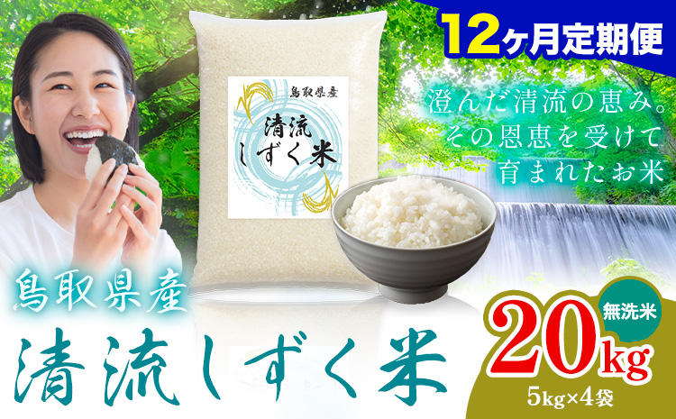 【12ヶ月定期便】鳥取 ふるさと 無洗米 20kg  清流しずく米《お申し込み月の翌月から出荷開始》鳥取県 八頭町 米 お米 ご飯 八頭 ふるさと無洗米 生活応援 ブレンド米 複数原料米 訳あり 小分け kome ご飯