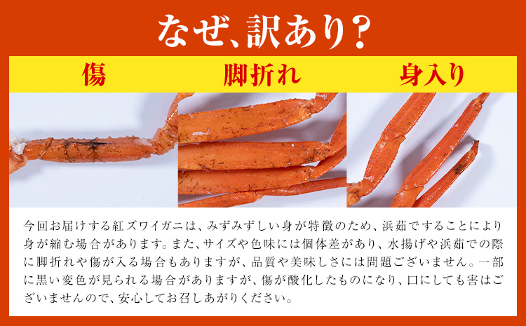 訳あり カニ 紅ズワイガニ （セクション） ボイル済み お試し 約1kg (1-2人前) 《30日以内に出荷予定(土日祝除く)》鳥取県 八頭町 送料無料 蟹 かに わけあり ベニズワイガニ ズワイ蟹 海産物 ボイル お取り寄せグルメ