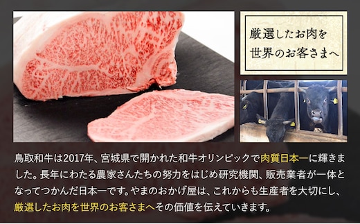 鳥取和牛 食べ応えの赤身ブロック 300g やまのおかげ屋《90日以内に出荷予定(土日祝除く)》鳥取県 八頭町 和牛 ブロック肉 ステーキ 送料無料 牛肉 肉 牛