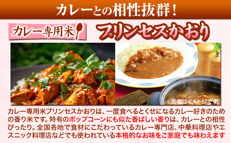 繧ォ繝ャ繝シ蟆ら畑邀ウ 繝励Μ繝ウ繧サ繧ケ縺九♀繧 5kg 譛蛾剞莨夂、セ 逕ー荳ュ霎イ蝣エ縲90譌・莉・蜀縺ォ蜃コ闕キ莠亥ョ(蝨滓律逾晞勁縺)縲矩ウ・蜿也恁 蜈ォ鬆ュ逕コ 邀ウ 縺顔アウ 縺秘」ッ 繧ォ繝ャ繝シ 騾∵侭辟。譁