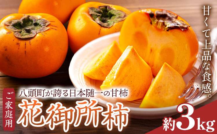 ご家庭用 柿 八頭町が誇る 日本随一の 甘柿 花御所柿 約3kg Tottori食のまごころ農園 《12月上旬-12月下旬頃出荷》鳥取県 八頭町 柿 かき カキ 花御所柿 甘柿 果物 フルーツ 訳あり