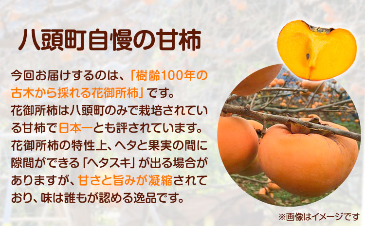 【先行予約】樹齢100年の古木から採れる花御所柿 2.5kg 岡崎ファーム《12月上旬-12月末頃出荷》鳥取県 八頭町 柿 かき カキ 花御所柿 果物 フルーツ